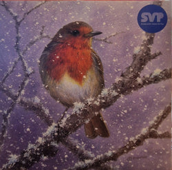Charity Christmas Card - Box / Society Of St. Vincent de Paul SVP - Robin On Tree
