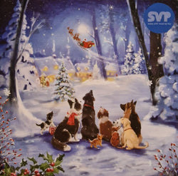 Charity Christmas Card - Box / Society Of St. Vincent de Paul SVP - Pets Watching Flying Sleigh