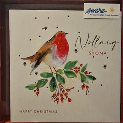 Charity Christmas Card -  Box / Aware AWE - Robin Nollaig Shona