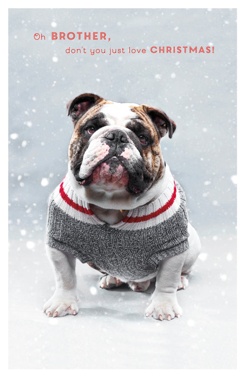 Funny Brother Christmas Card