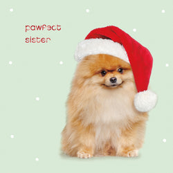 Sister Christmas Card