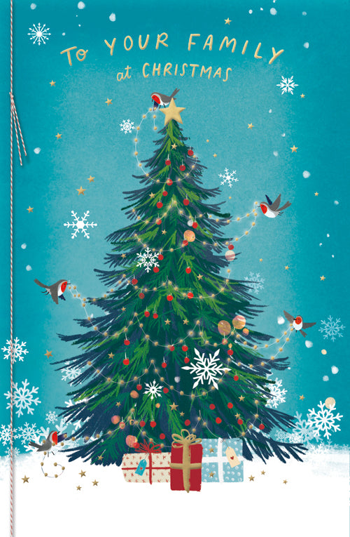 Family Christmas Card