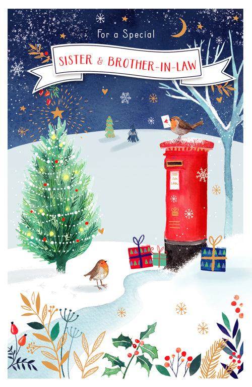 Special Sister And Brother In Law Christmas Card