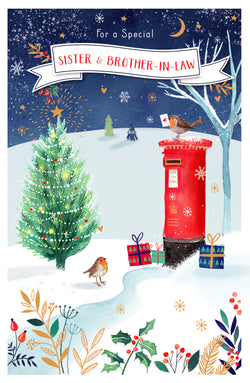 Special Sister And Brother In Law Christmas Card
