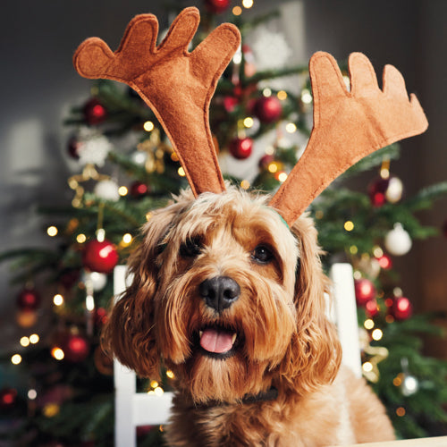 General Christmas Card