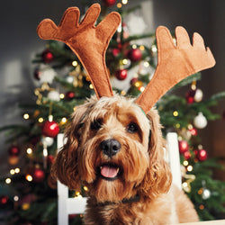 General Christmas Card