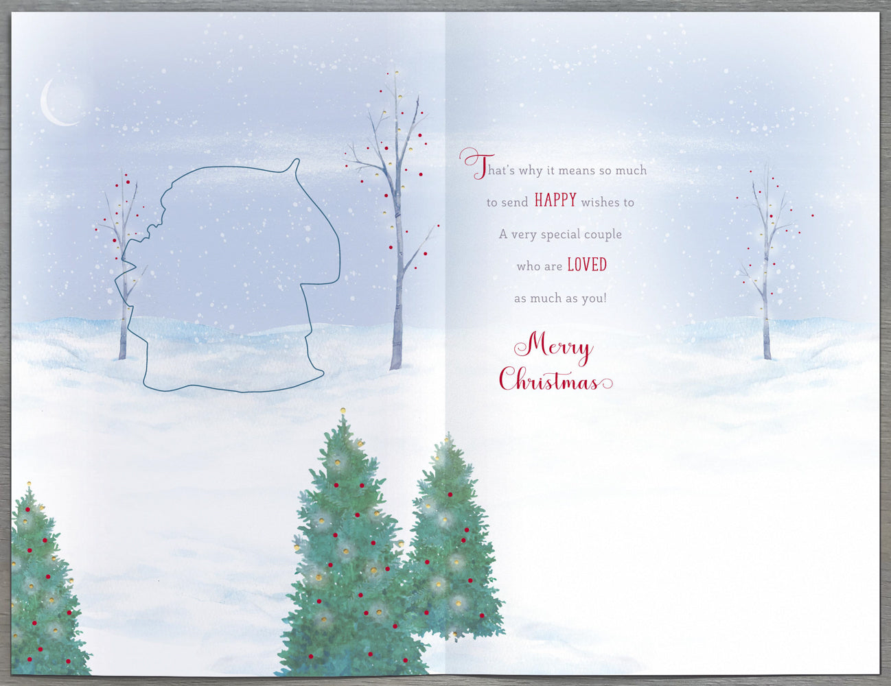 Sister And Brother In Law Christmas Card