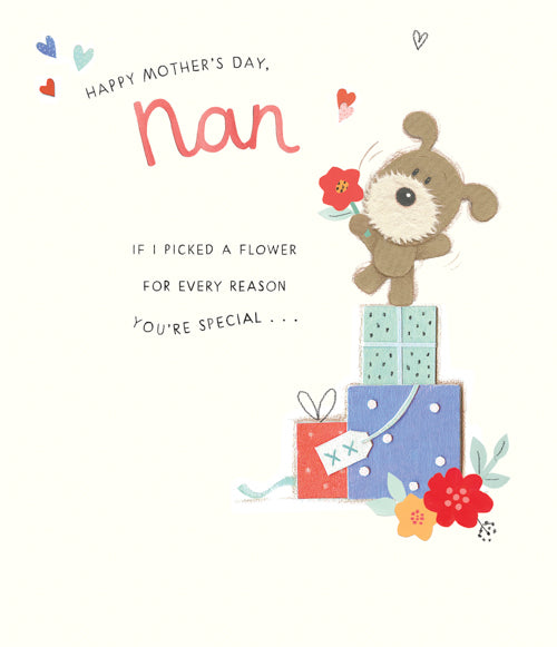 Special Nan Mothers Day Card