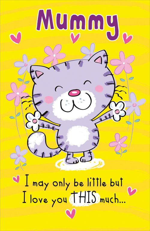 Humour Mummy Mothers Day Card