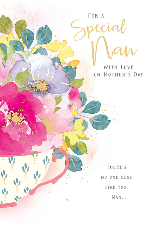 Special Nan Mothers Day Card