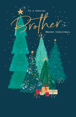 Special Brother Christmas Card