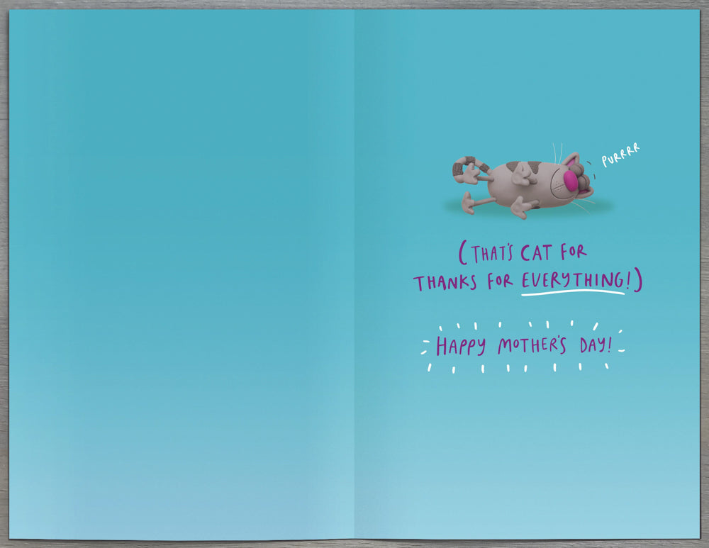 From Cat Mothers Day Card