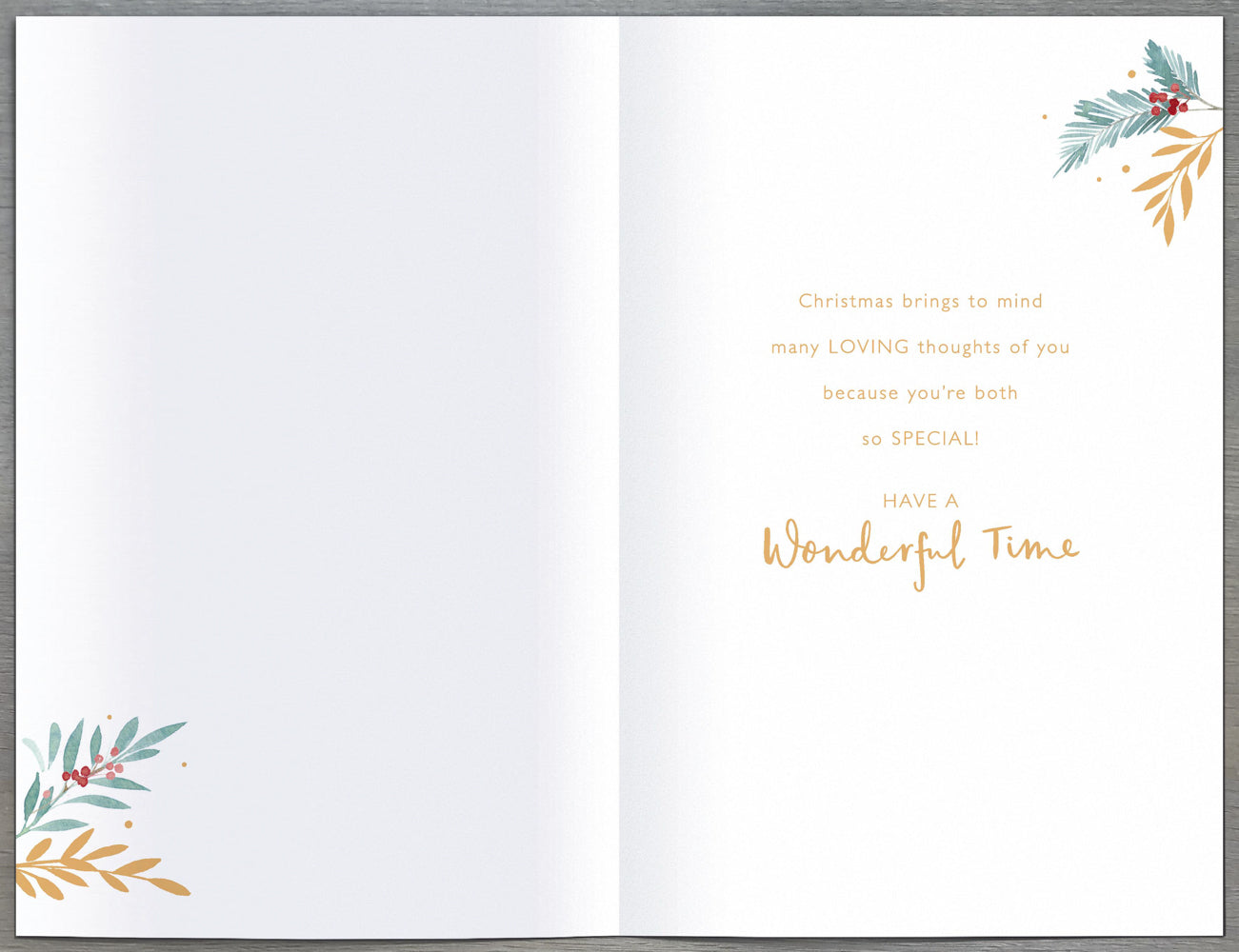 Sister And Brother In Law Christmas Card