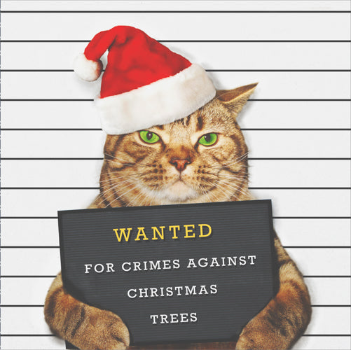 Seasonal Christmas Card