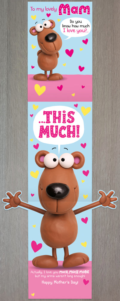 Humour Mam Mothers Day Card