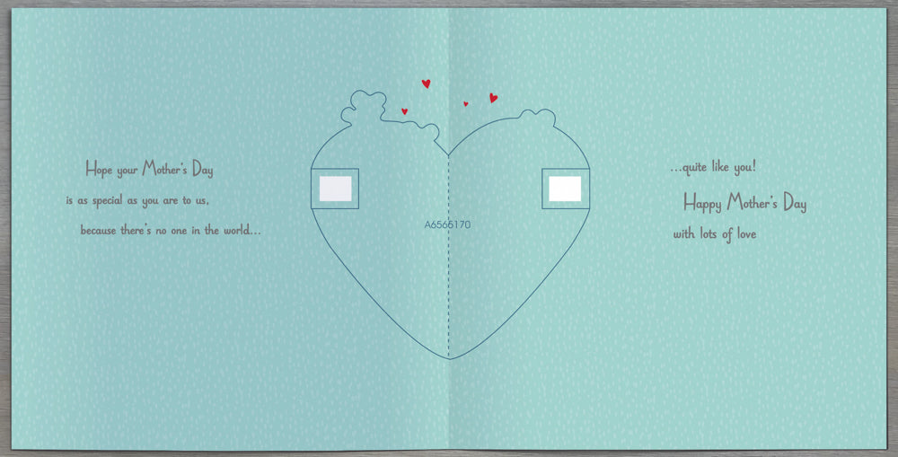 From Your Grandchildren Mothers Day Card