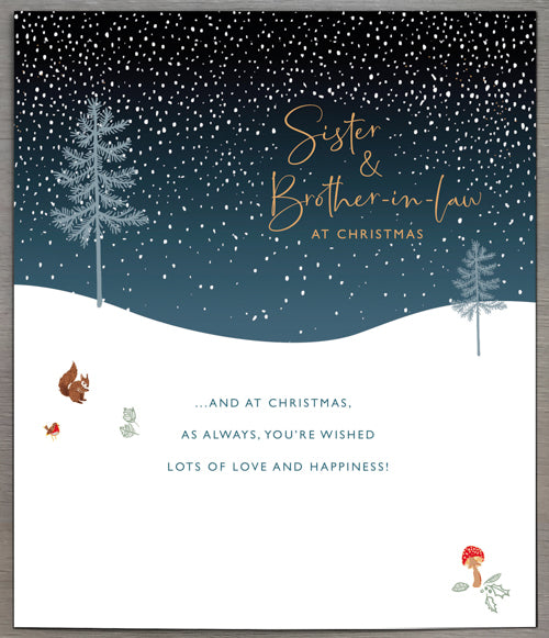 Sister And Brother In Law Christmas Card 