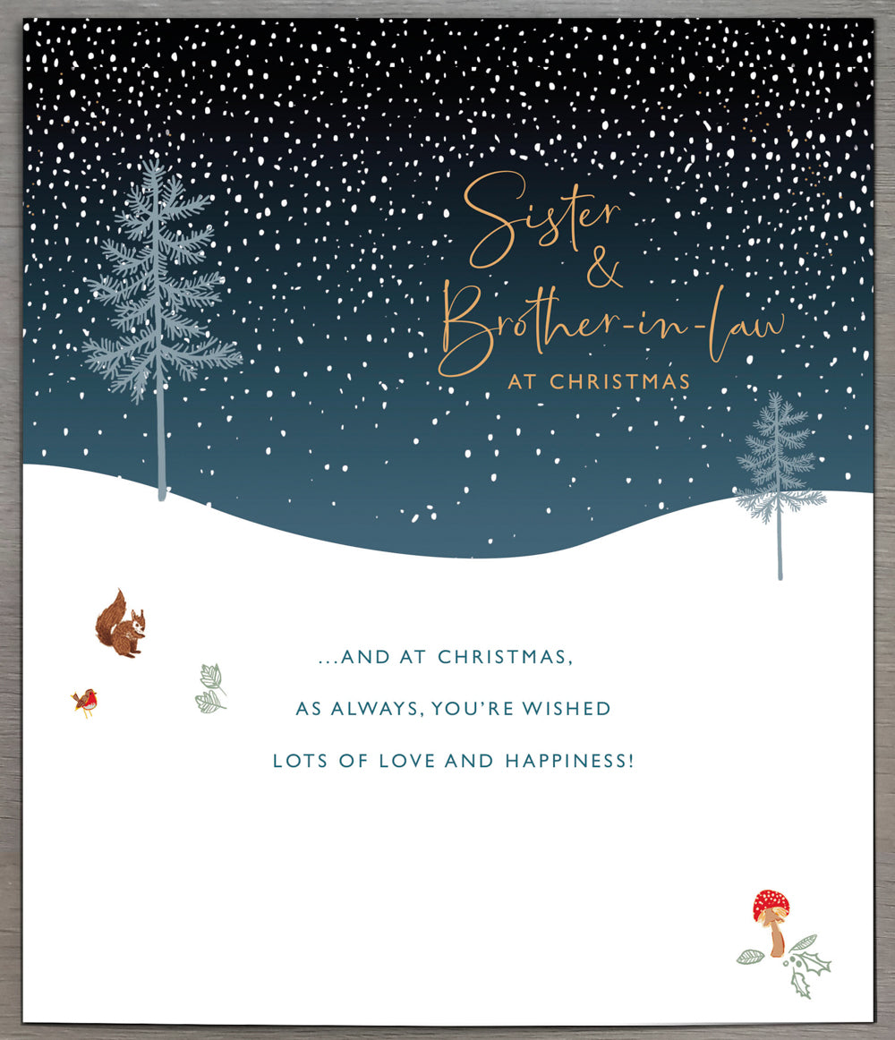Sister And Brother In Law Christmas Card