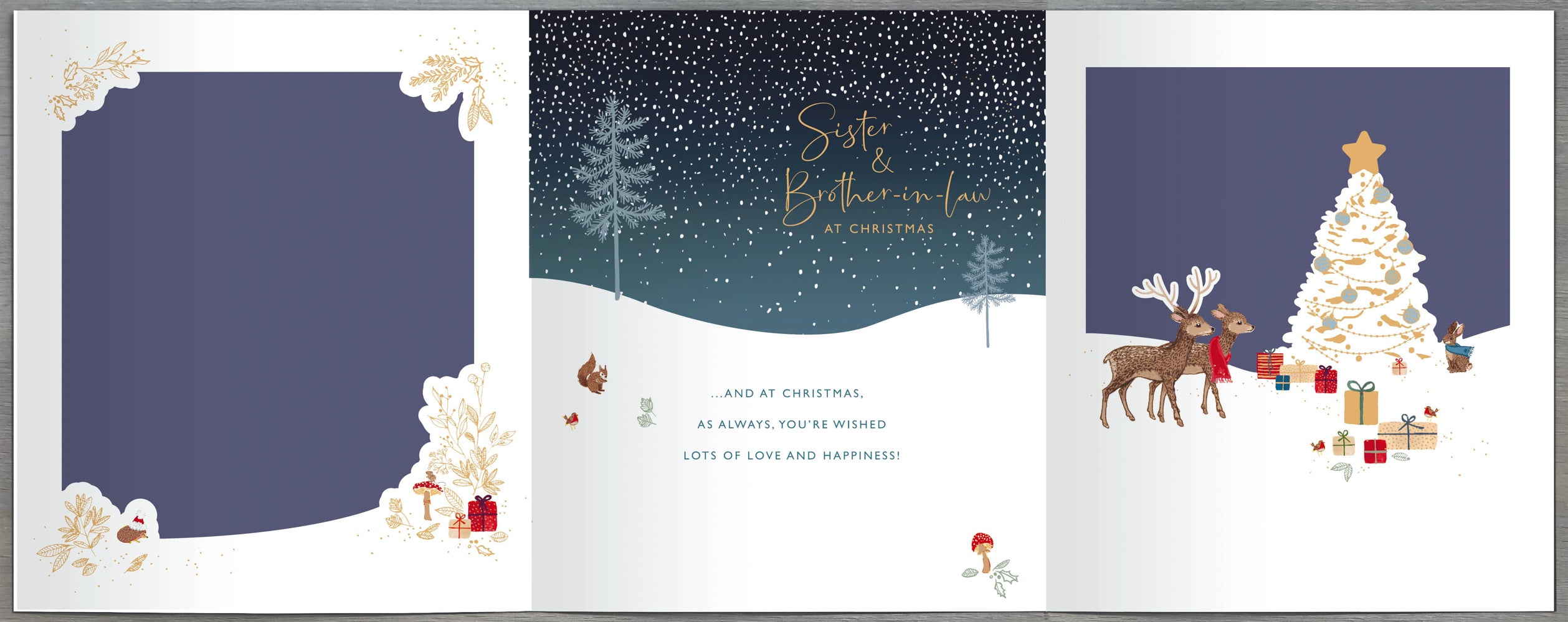 Sister And Brother In Law Christmas Card