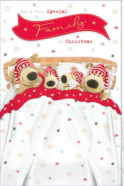 Family Christmas Card 