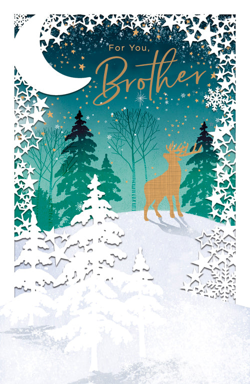 Brother Christmas Card 