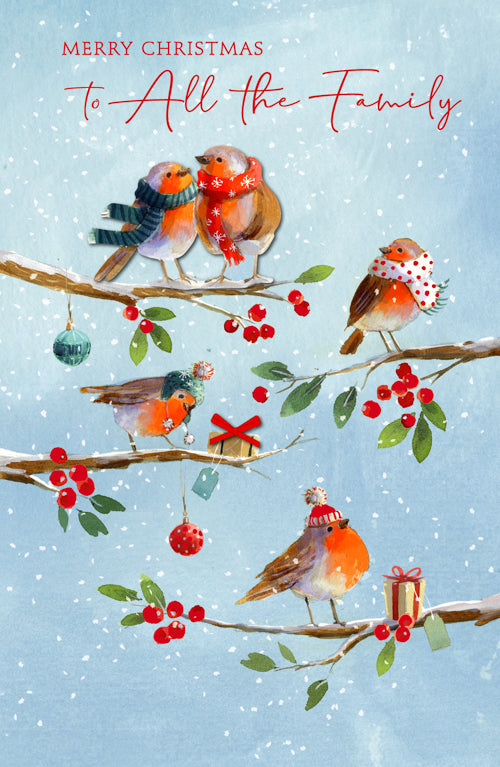 The Family Christmas Card 