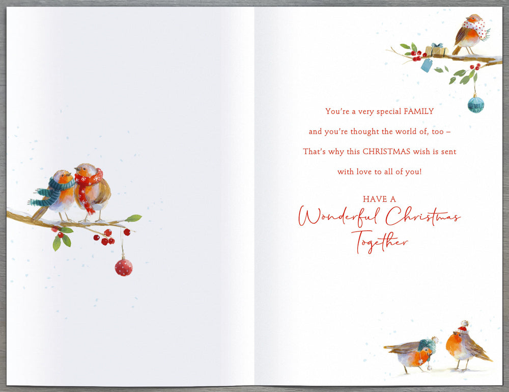 To All The Family Christmas Card 