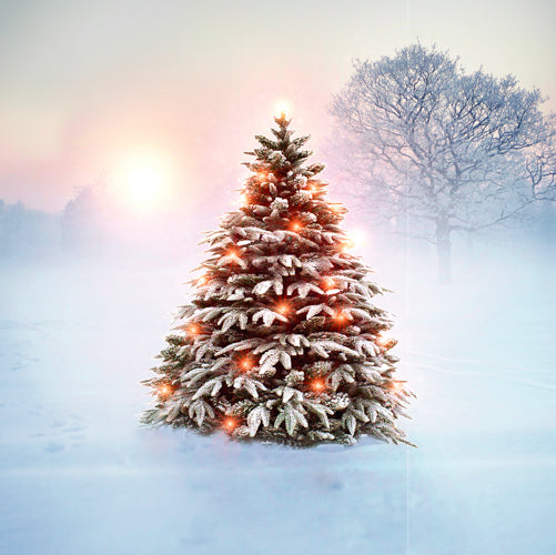 Seasonal Christmas Card 