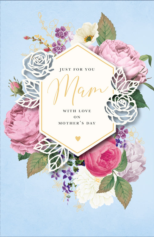 Just For You Mam Mothers Day Card