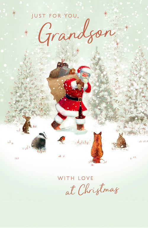Just For You Grandson Christmas Card 