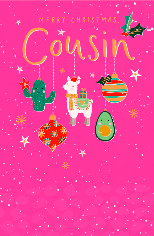 Cousin Christmas Card