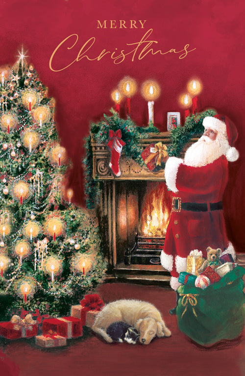 Seasonal New Year Christmas Card