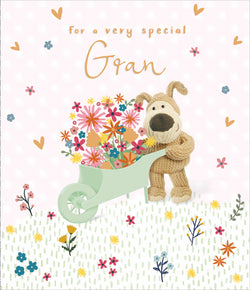 Special Gran Mothers Day Card