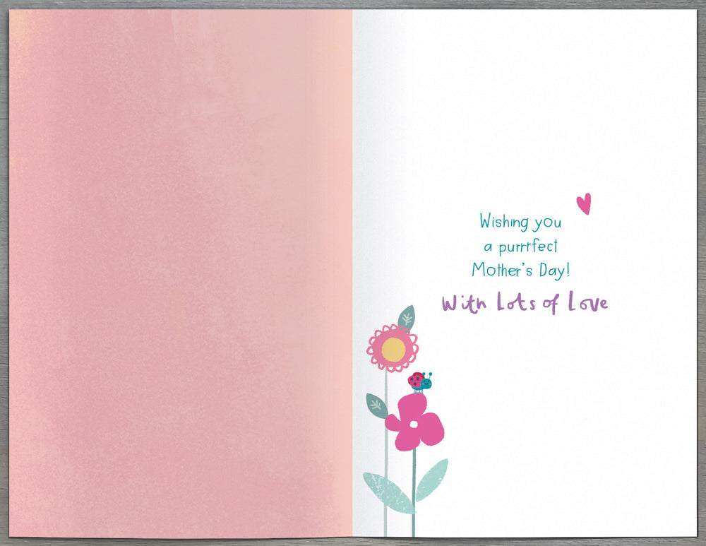Nan Mothers Day Card