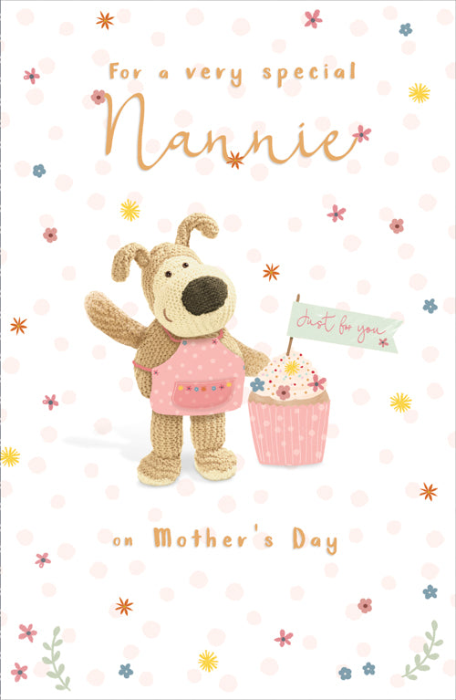 Special Nannie Mothers Day Card