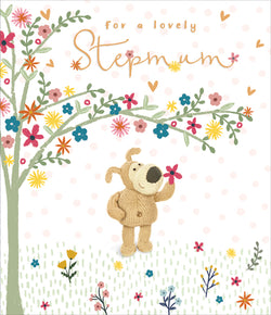 Step Mum Mothers Day Card
