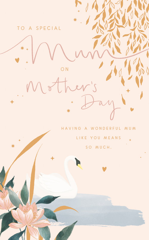 Special Mum Mothers Day Card