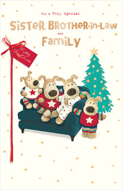 Sister Brother In Law And Family Christmas Card