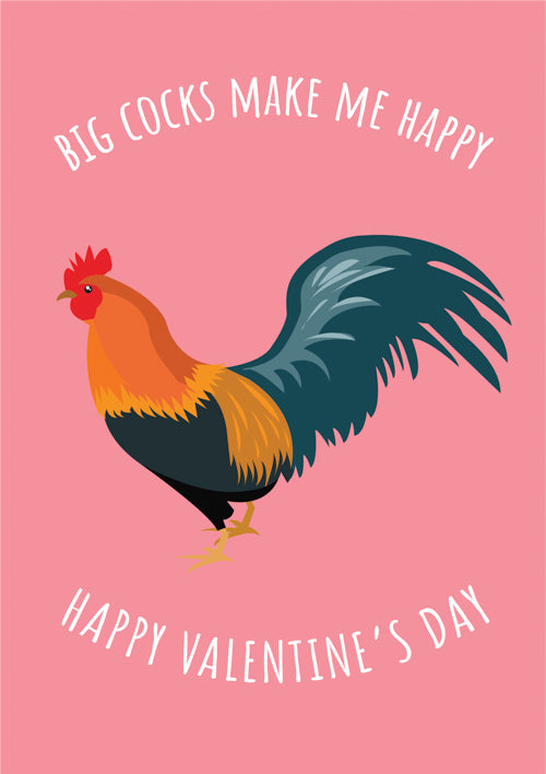 Funny Valentines Day Card Personalisatio