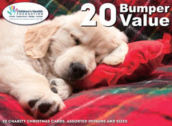 Charity Christmas Card (In Irish & English) - Value Box / Children's Health Foundation & Sleepy Puppy Red Pillow