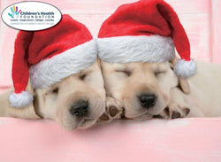 Charity Christmas Card (In Irish & English) - Box / Children's Health Foundation & Sleepy Puppies