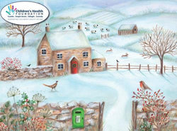 Charity Christmas Card (In Irish & English) - Box / Children's Health Foundation & Snow Town Postbox Bird