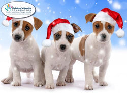 Charity Christmas Card (In Irish & English) - Box / Children's Health Foundation & Puppies And Snowfall
