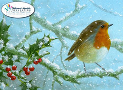 Charity Christmas Card (In Irish & English) - Box / Children's Health Foundation & Robin On Snow Tree