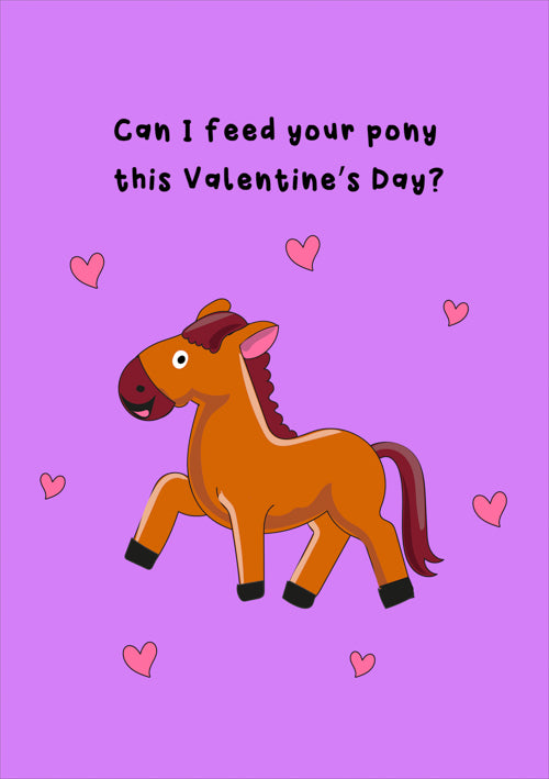 Funny Valentines Day Card Personalisation