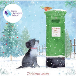Charity Christmas Card - Box Of 20 / Down Syndrome Ireland - Christmas Letters
