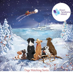 Charity Christmas Card - Box / Down Syndrome Ireland - Pets And Flying Santa