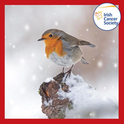 Charity Christmas Card (In Irish & English) - Box of 12 / Irish Cancer Society ICS - Robin Snow Shoes