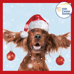 Charity Christmas Card (In Irish & English) - Box of 12 / Irish Cancer Society ICS - Bauble Dog Ears