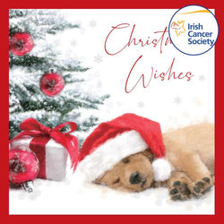 Charity Christmas Card (In Irish & English) - Box of 12 / Irish Cancer Society ICS - Puppy Sleepy Baubles